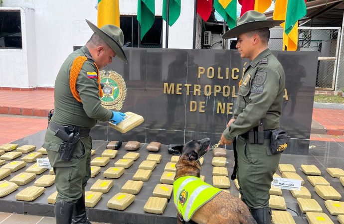 Héroe de cuatro patas detecta 97 paquetes de marihuana en  Neiva