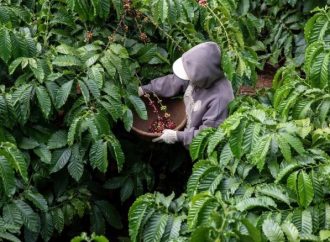 Huila enfrenta creciente presión extorsiva en sus municipios cafeteros