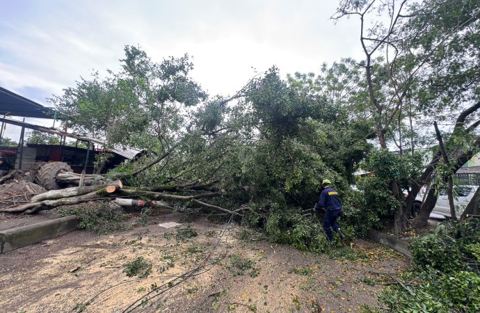 Siguen las emergencias en sur de Neiva