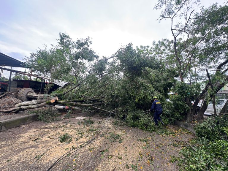 Siguen las emergencias en sur de Neiva