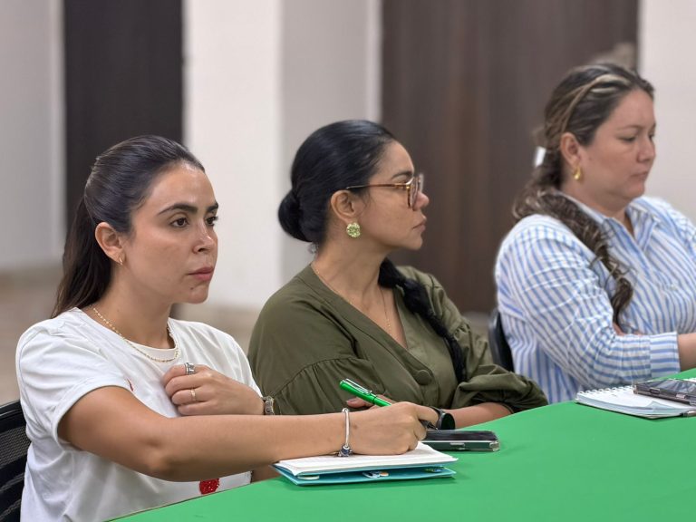 Implementarán estrategias en favor de la niñez del Huila