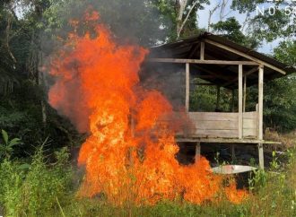 Destruyen 35 laboratorios para el procesamiento de coca