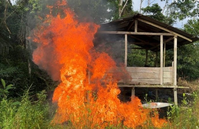 Destruyen 35 laboratorios para el procesamiento de coca