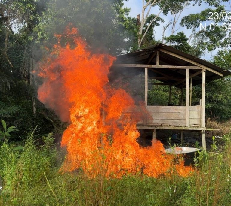 Destruyen 35 laboratorios para el procesamiento de coca