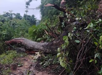 Nuevas emergencias  por intensas lluvias en municipios del Huila