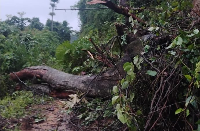 Nuevas emergencias  por intensas lluvias en municipios del Huila