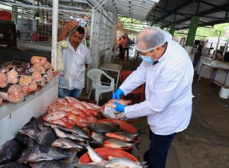 Ad portas de la Semana Santa, lupa al pescado
