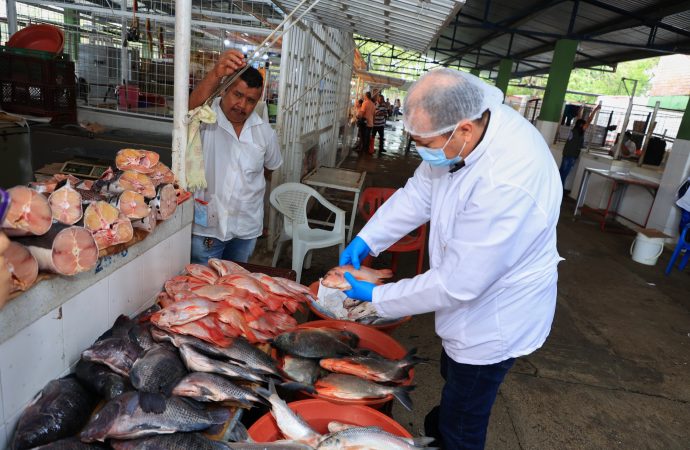 Ad portas de la Semana Santa, lupa al pescado