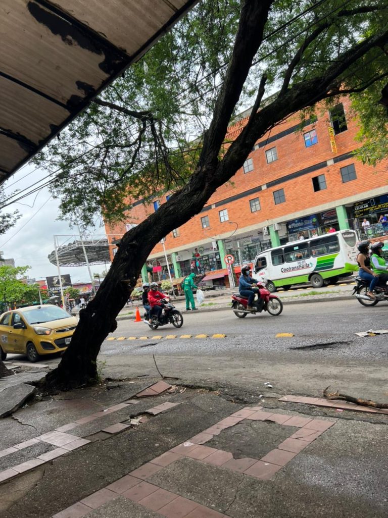 Denuncian: «No despegan proyectos estratégicos en Neiva»