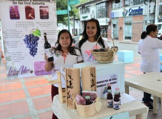Impulsan nuevas formas de desarrollo profesional en Día del Emprendimiento