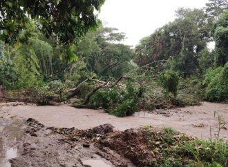 Siguen emergencias y afectaciones por lluvias