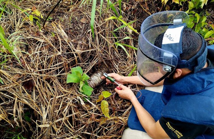 Baraya, primera zona libre de sospecha de minas antipersonal