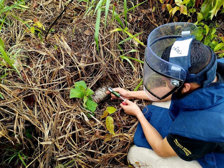 Baraya, primera zona libre de sospecha de minas antipersonal