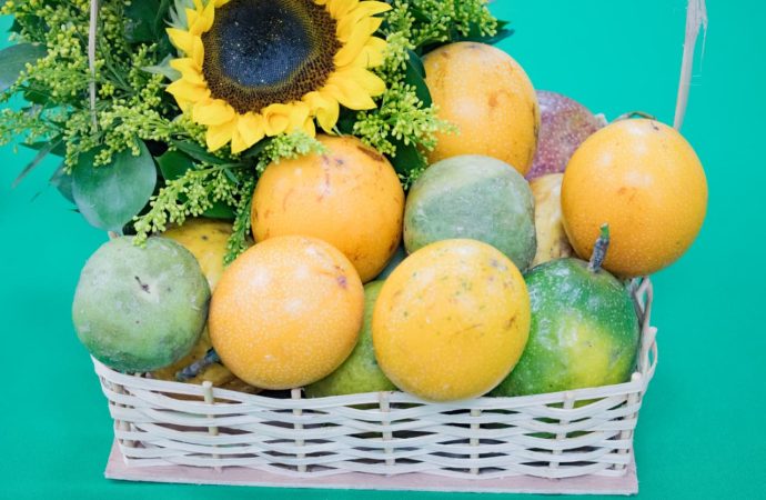 Pasifloras, promisorio renglón productivo