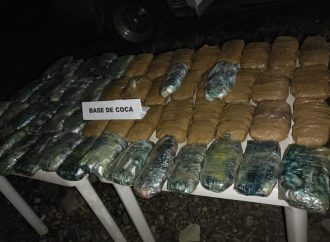 Incautan 39 kilos de coca