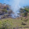 Lupa a condiciones climáticas en el Huila