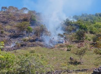 Lupa a condiciones climáticas en el Huila