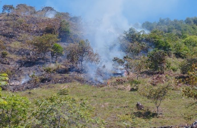 Lupa a condiciones climáticas en el Huila