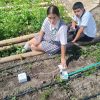 Estudiantes crean sistema de riego inteligente en Garzón