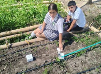Estudiantes crean sistema de riego inteligente en Garzón
