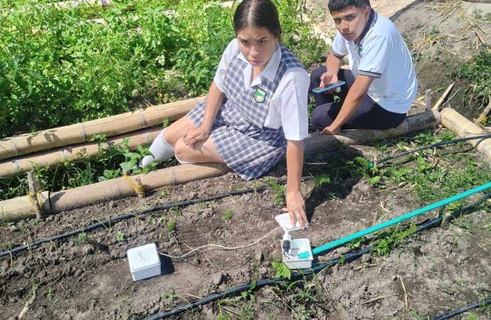 Estudiantes crean sistema de riego inteligente en Garzón