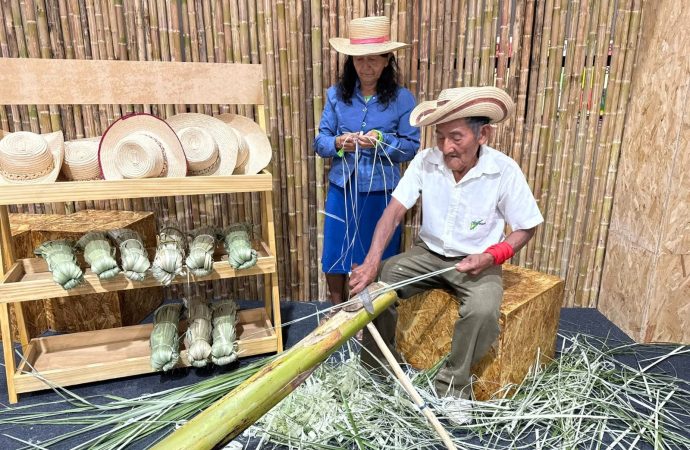 Pindo, identidad y desarrollo