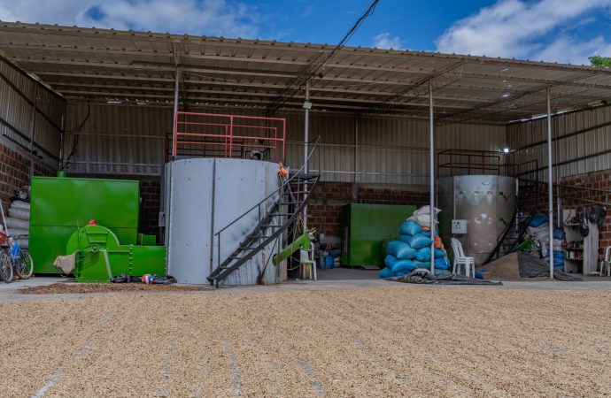Tello enciende silos para secado de café