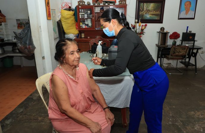 Combaten dengue y fiebre amarilla en Neiva