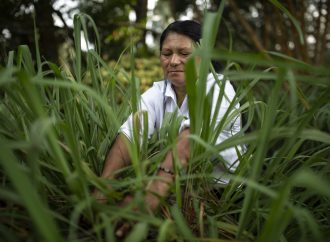 Estrategia para la conservación del Macizo Colombiano
