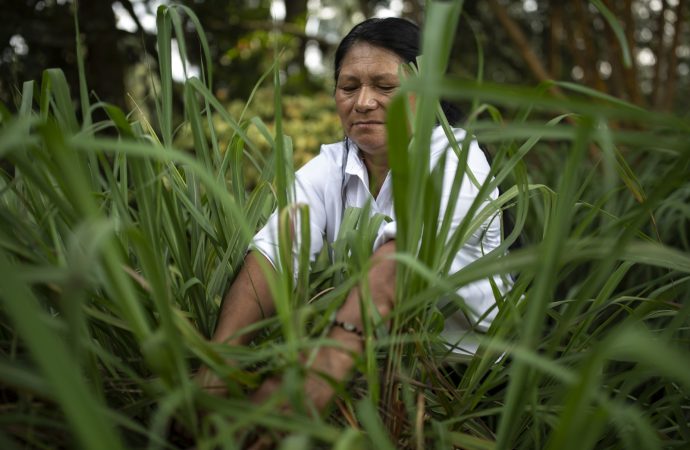 Estrategia para la conservación del Macizo Colombiano