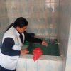 Científicos alertan sobre cambios del dengue asociados con brotes más severos