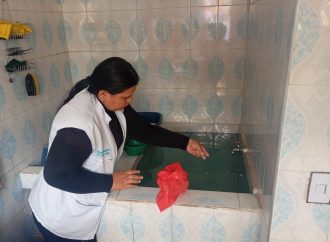 Científicos alertan sobre cambios del dengue asociados con brotes más severos