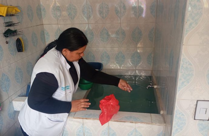 Científicos alertan sobre cambios del dengue asociados con brotes más severos