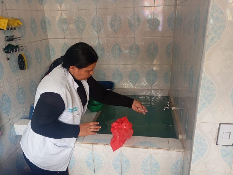 Científicos alertan sobre cambios del dengue asociados con brotes más severos
