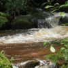 Llaman a uso eficiente del agua por incidencia del Fenómeno de El Niño