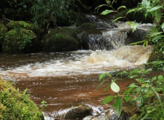 Llaman a uso eficiente del agua por incidencia del Fenómeno de El Niño