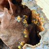 Museo vivo de abejas en el Huila