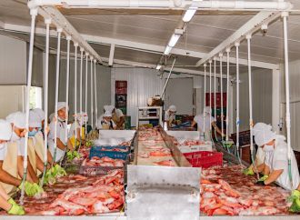 Huila, primer productor piscícola del país