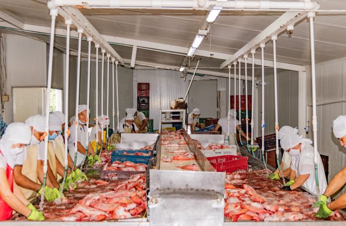 Huila, primer productor piscícola del país