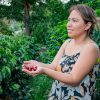 Caficultura huilense tiene aroma de mujer