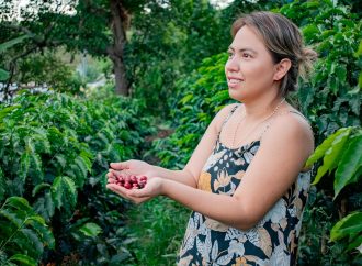 Caficultura huilense tiene aroma de mujer