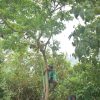 Fortalecen la conservación de ecosistemas del Huila