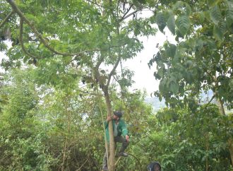 Fortalecen la conservación de ecosistemas del Huila