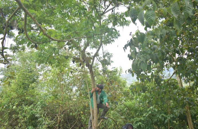 Fortalecen la conservación de ecosistemas del Huila