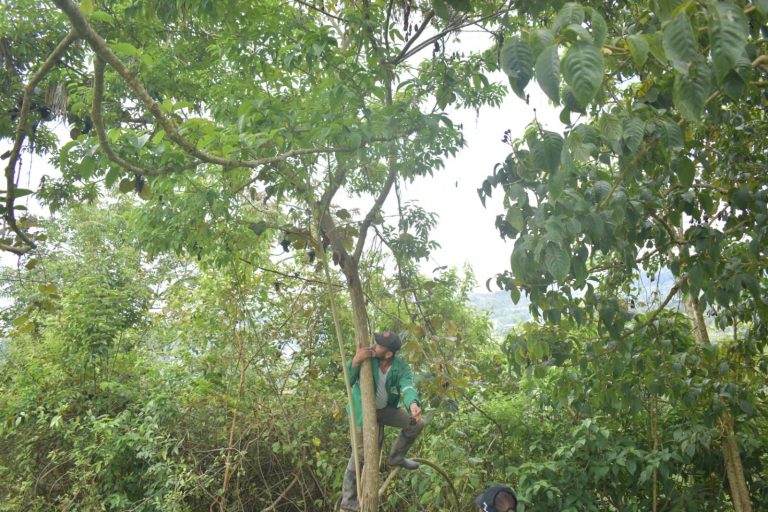 Fortalecen la conservación de ecosistemas del Huila