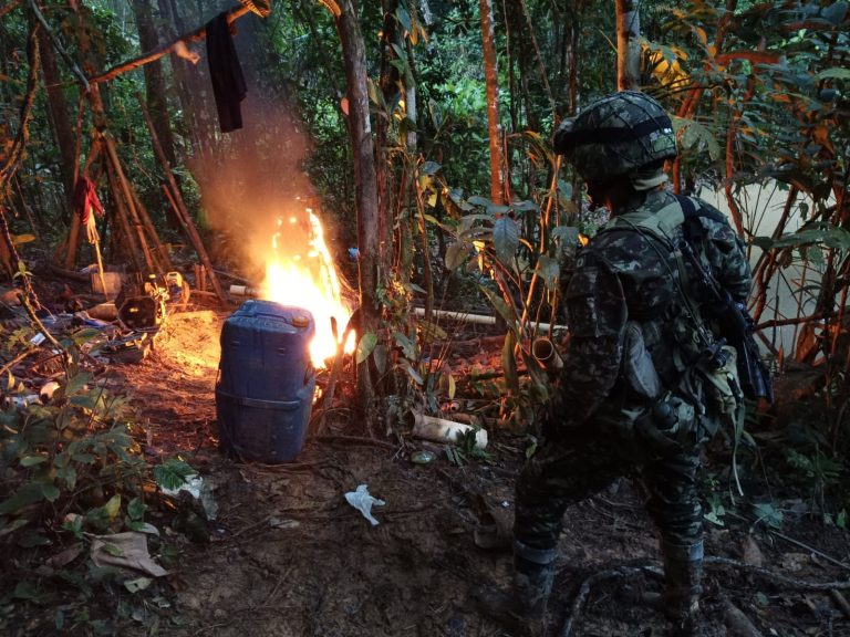 Golpe a economías ilícitas de Comandos de Frontera
