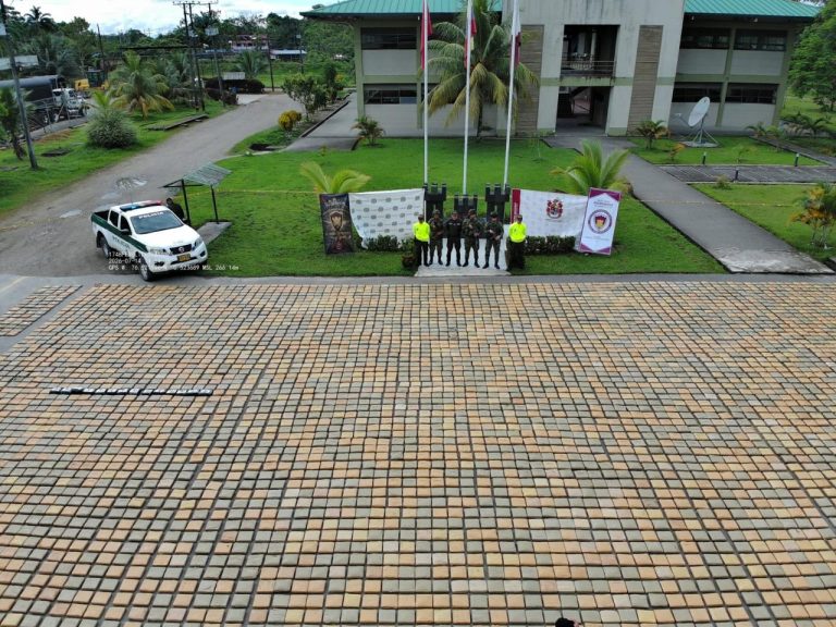 Incautan 12.5 toneladas de marihuana ocultas en pared falsa