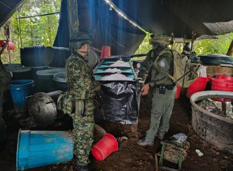Golpe al narcotráfico: destruyen megalaboratorio de la Segunda Marquetalia