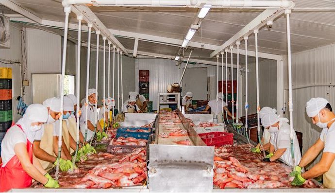 Huila construye la memoria de la piscicultura