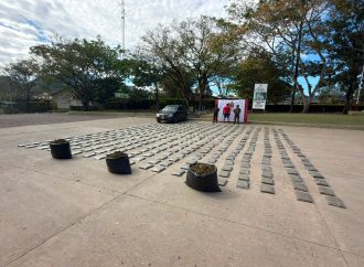 Incautan 480 libras de marihuana en Tesalia